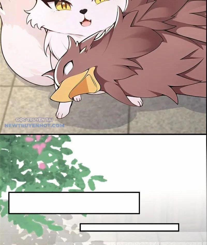 Ta Thực Sự Không Muốn Làm Thần Tiên 108 trang 27