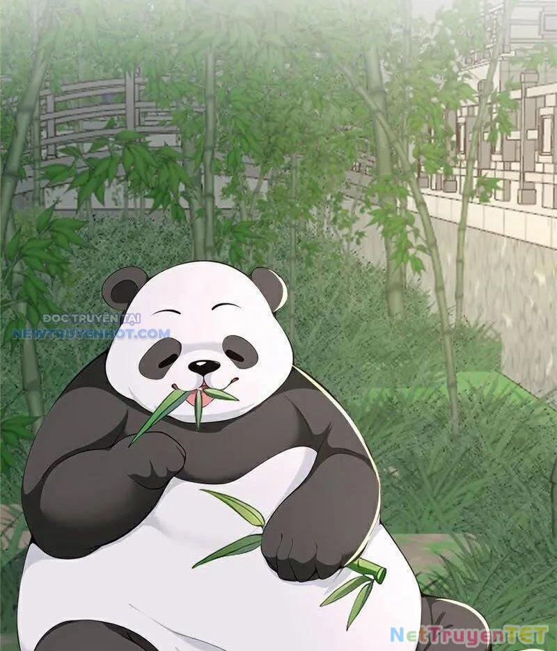 Ta Thực Sự Không Muốn Làm Thần Tiên 109 trang 21