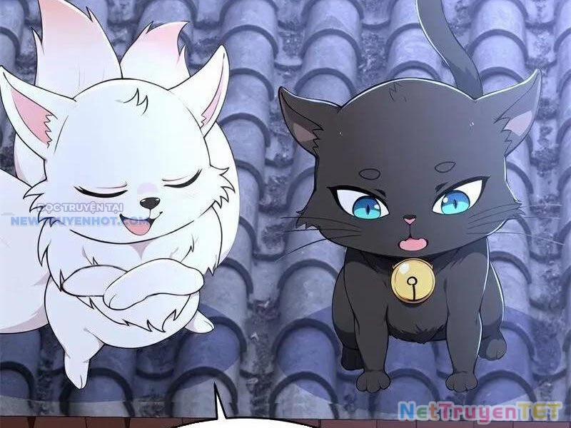 Ta Thực Sự Không Muốn Làm Thần Tiên 116 trang 13