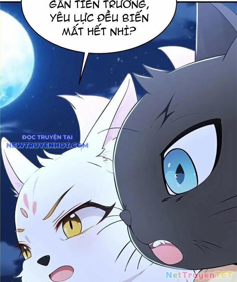 Ta Thực Sự Không Muốn Làm Thần Tiên 118 trang 41