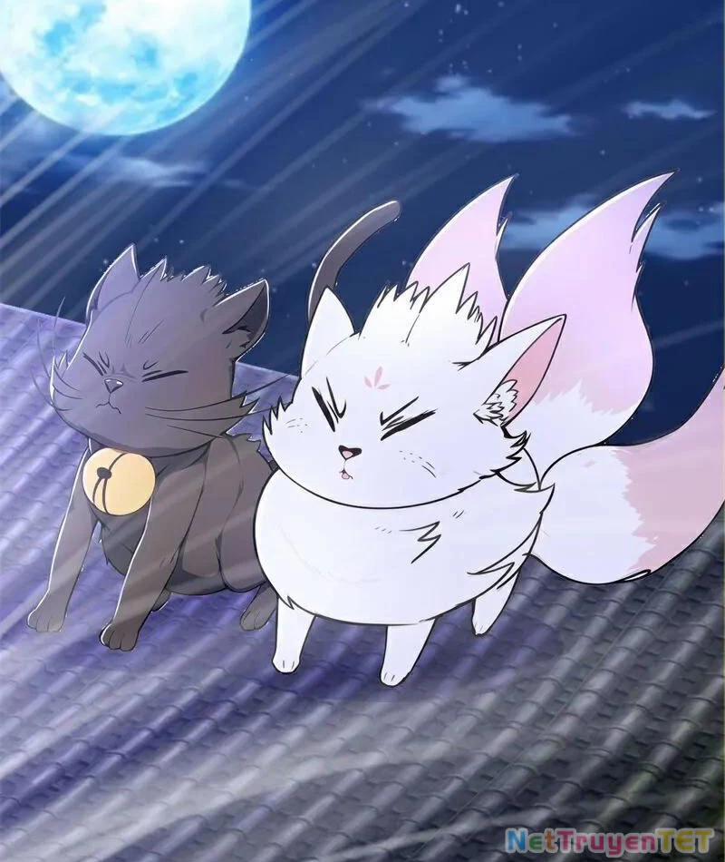 Ta Thực Sự Không Muốn Làm Thần Tiên 126 trang 34