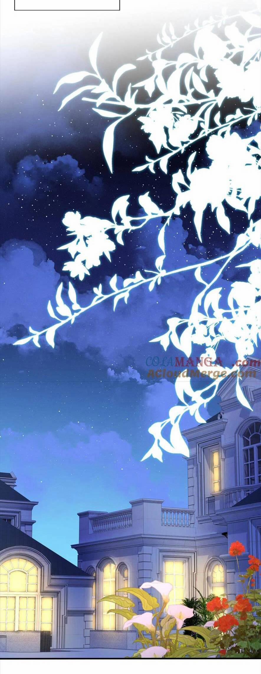 Tái Sinh Trở Lại : Chồng Cũ Khóc Lóc Cầu Xin Tái Hôn 182 trang 7