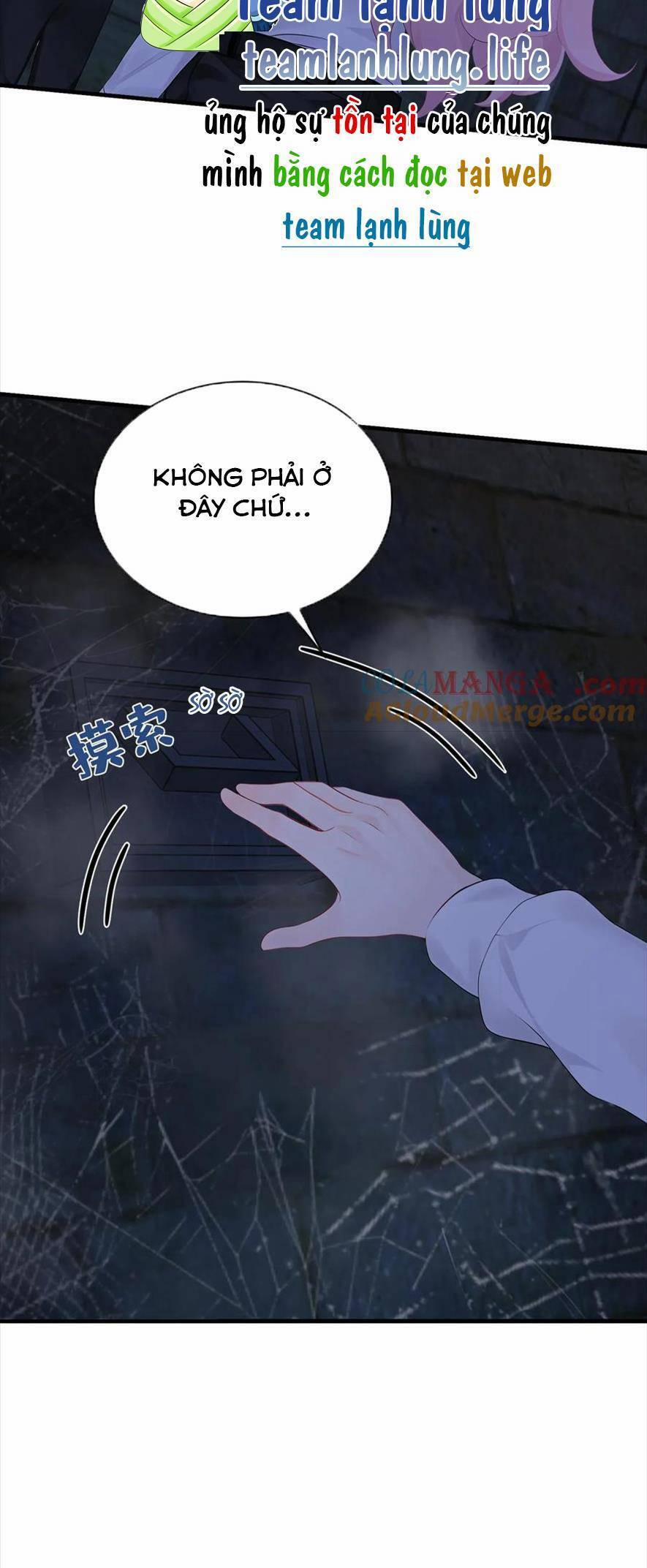 Tái Sinh Trở Lại : Chồng Cũ Khóc Lóc Cầu Xin Tái Hôn 183 trang 12