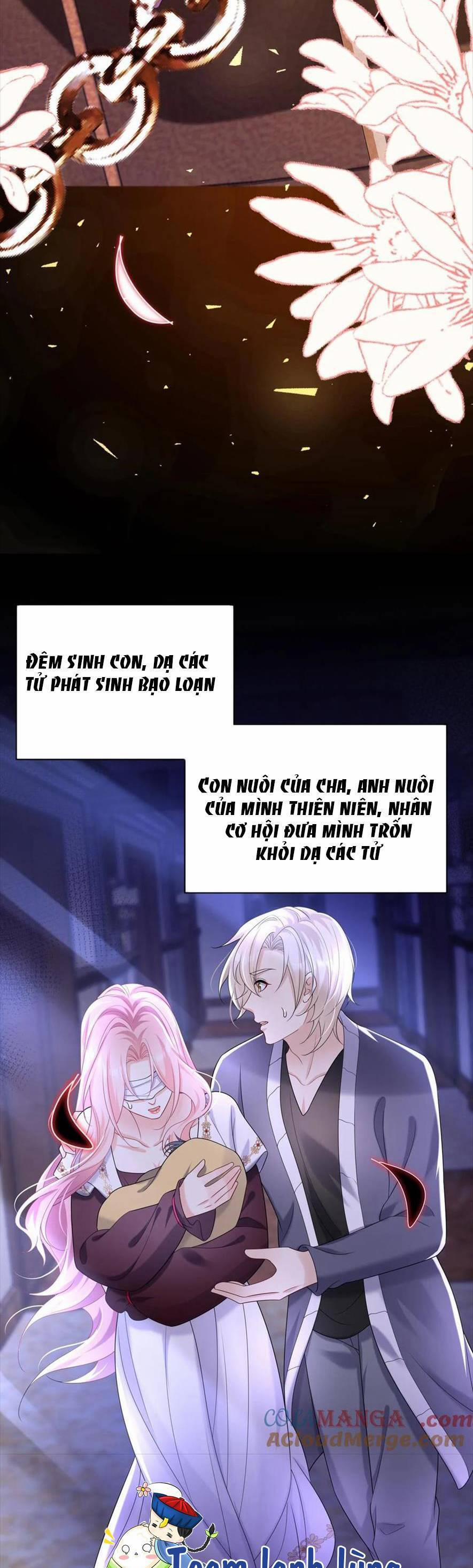 Tái Sinh Trở Lại : Chồng Cũ Khóc Lóc Cầu Xin Tái Hôn 185 trang 23