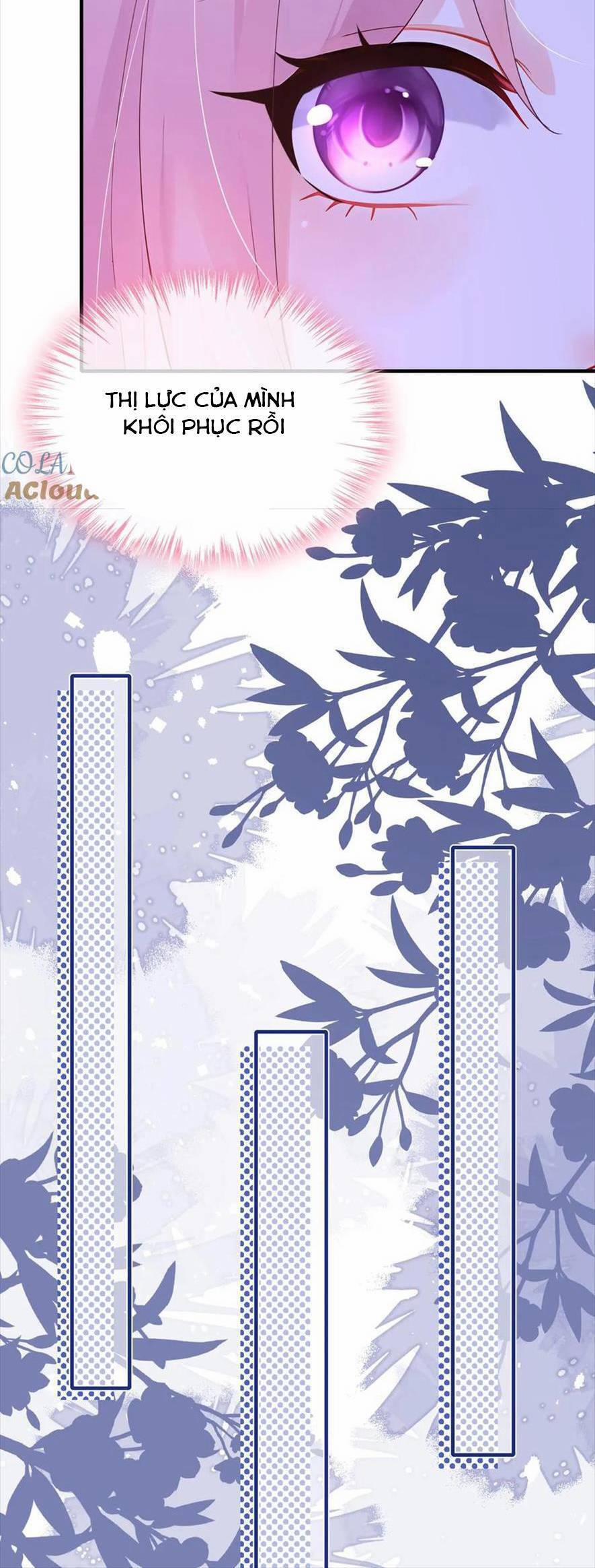 Tái Sinh Trở Lại : Chồng Cũ Khóc Lóc Cầu Xin Tái Hôn 187 trang 6