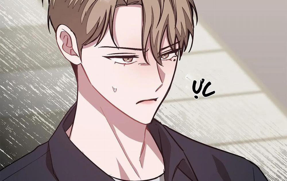 Tái Sinh 54 trang 244