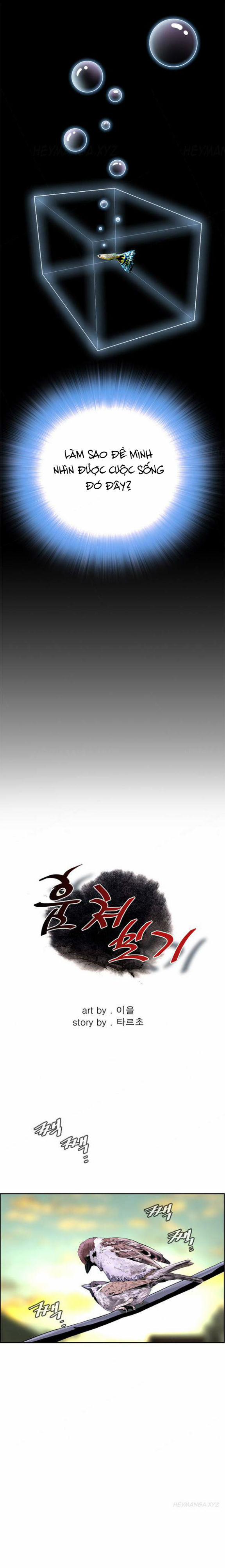 Take A Peek 1 trang 13