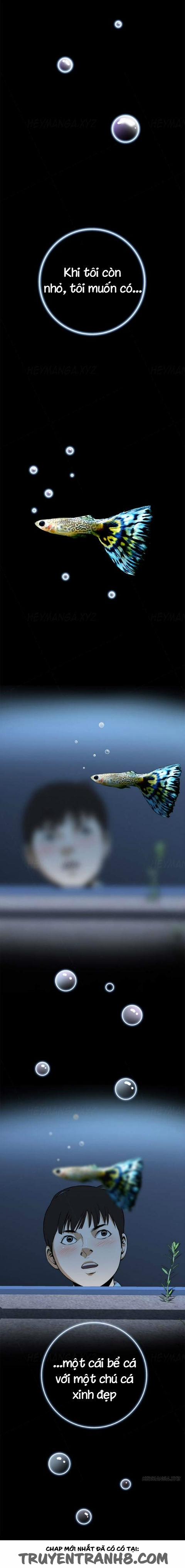 Take A Peek 1 trang 2