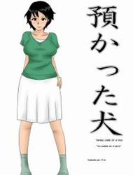 Đọc truyện tranh Taking Care Of A Dog