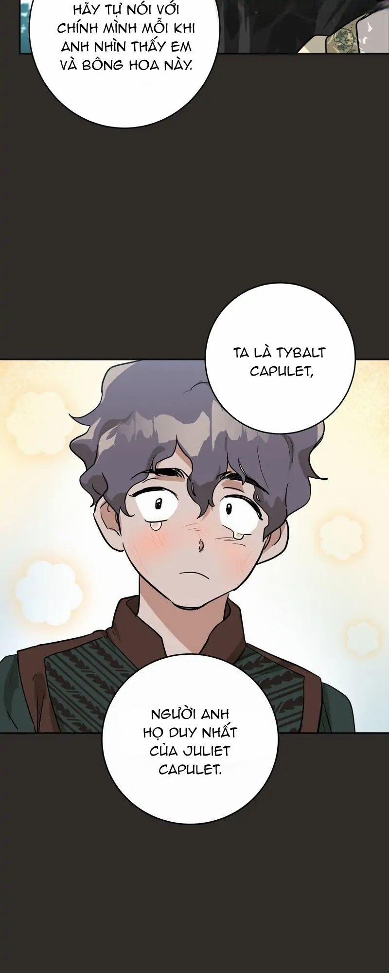 Tạm Biệt Juliet Của Ta 12.1 trang 14