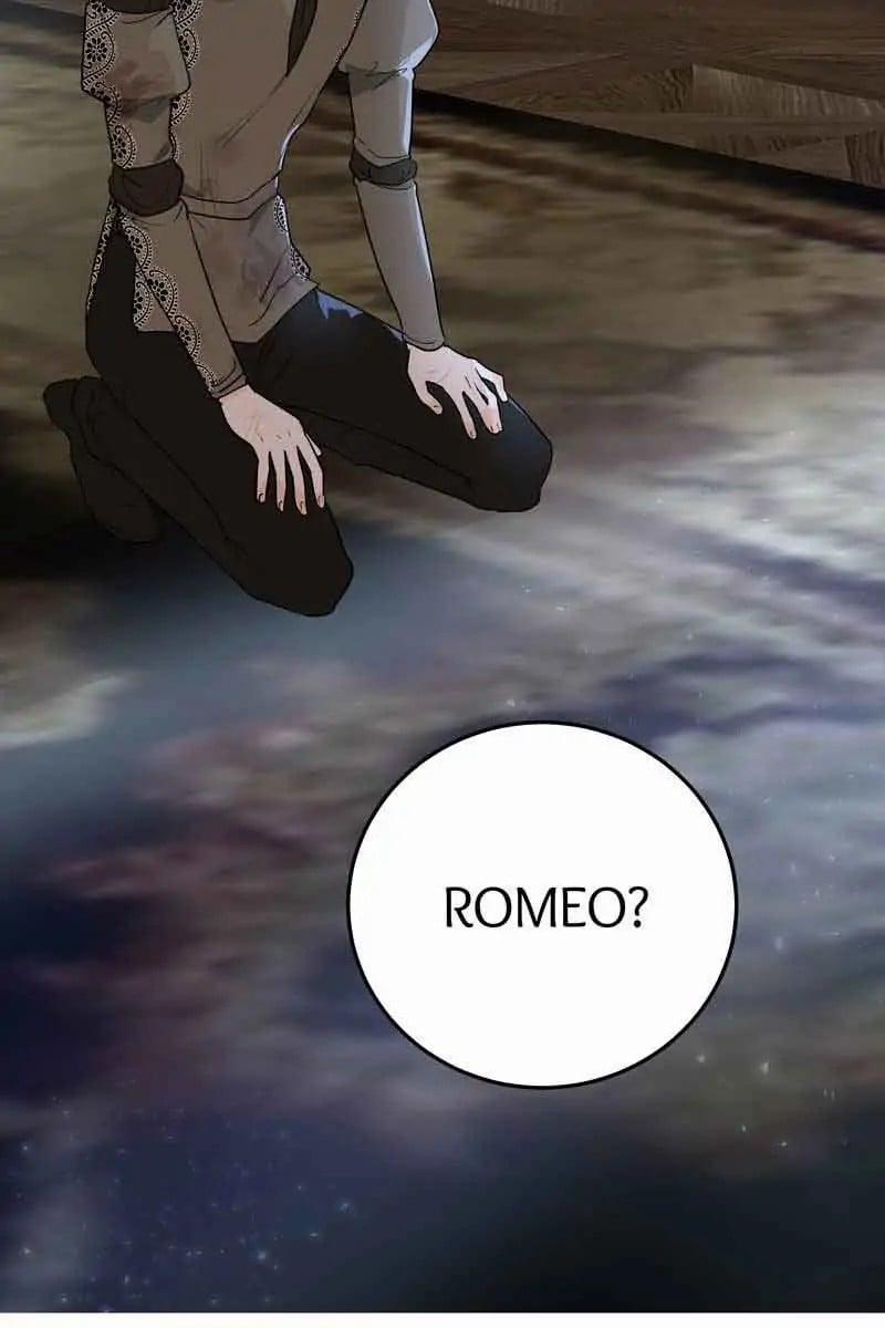 Tạm Biệt Juliet Của Ta 8.2 trang 17