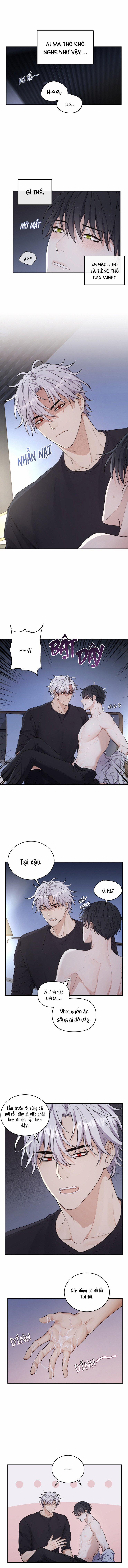 Tâm Mộng 4 trang 6