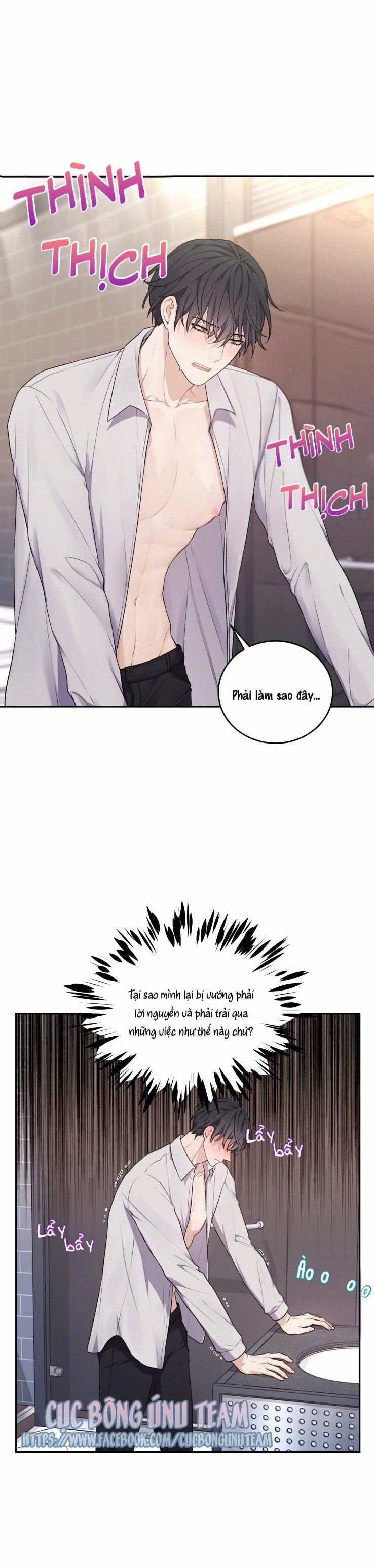 Tâm Mộng 5 trang 0