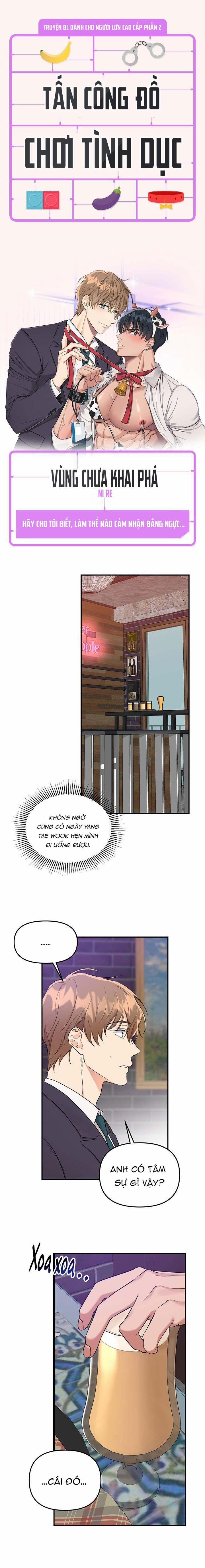 Tấn Công Đồ Chơi Tình Dục 1 trang 0