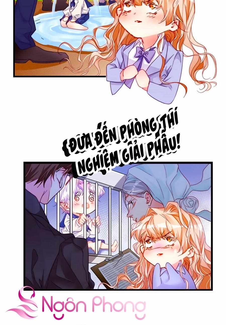 Tân Nương Long Tộc 22 trang 5