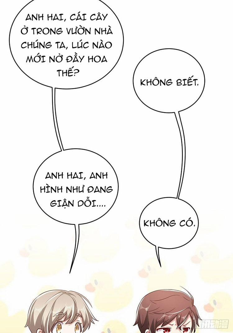 Tần Tưởng Thịnh Gả Cho Anh 21 trang 25