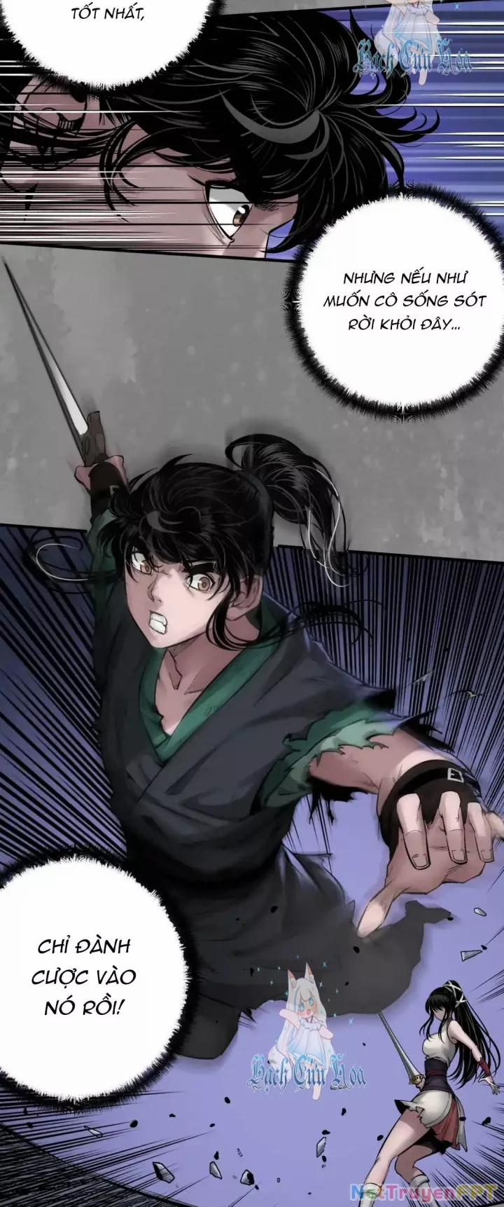 Tạng Phong Hành 243 trang 22