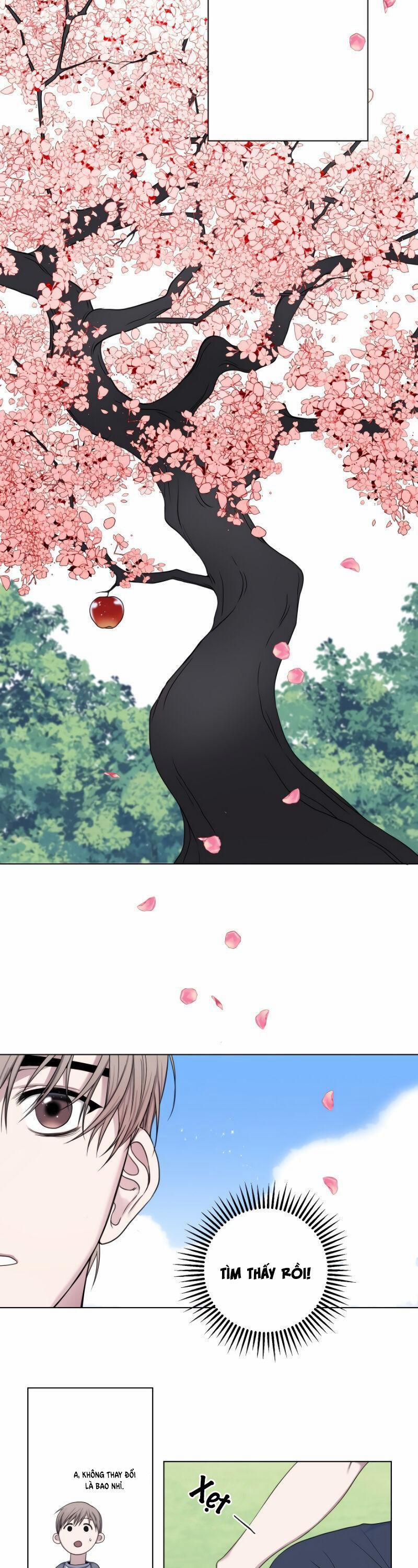 Tập Manhwa Ngắn Xôi Thịt 18+ 3 trang 10