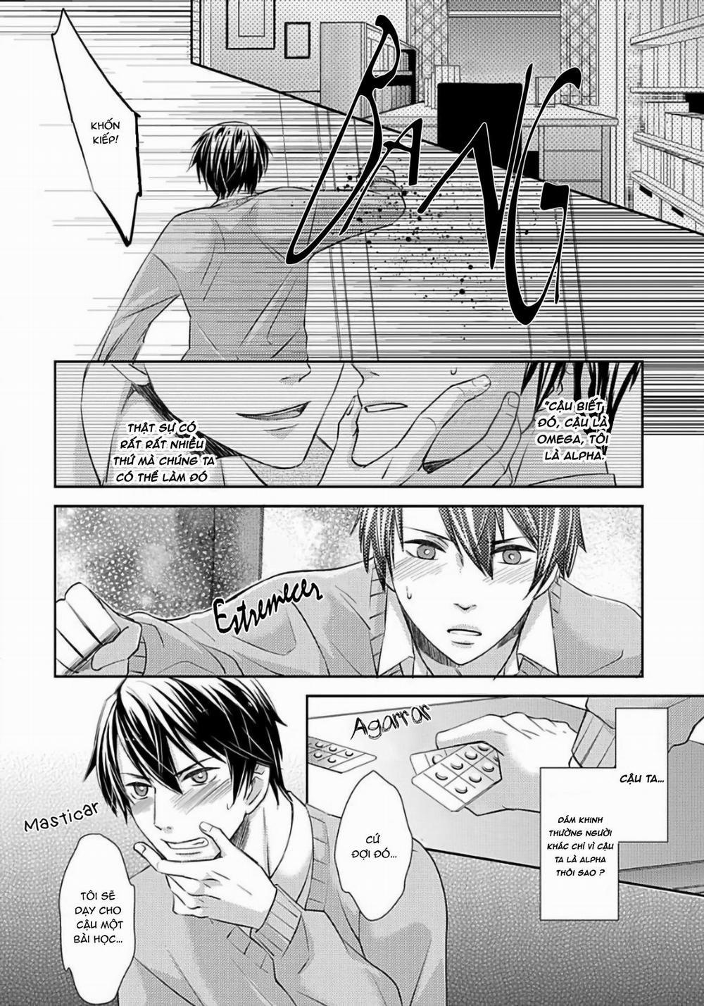 Tất Cả Vì Tôi Là Omega 1 trang 10
