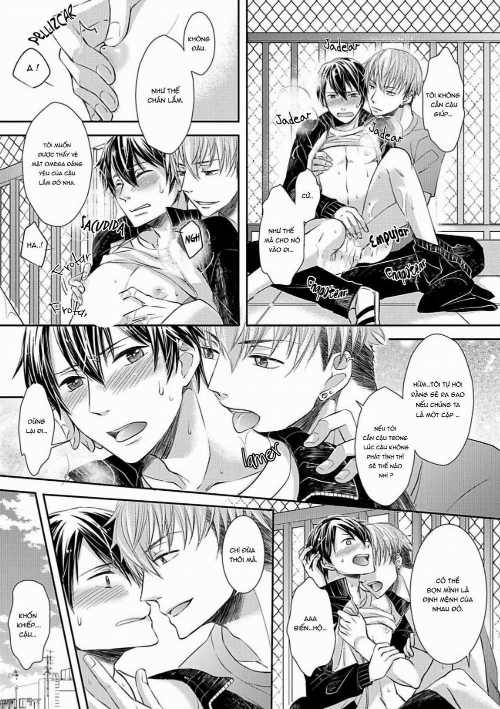 Tất Cả Vì Tôi Là Omega 1 trang 16
