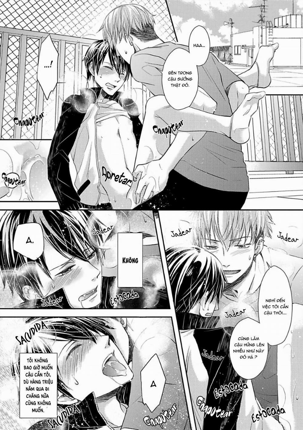 Tất Cả Vì Tôi Là Omega 1 trang 17