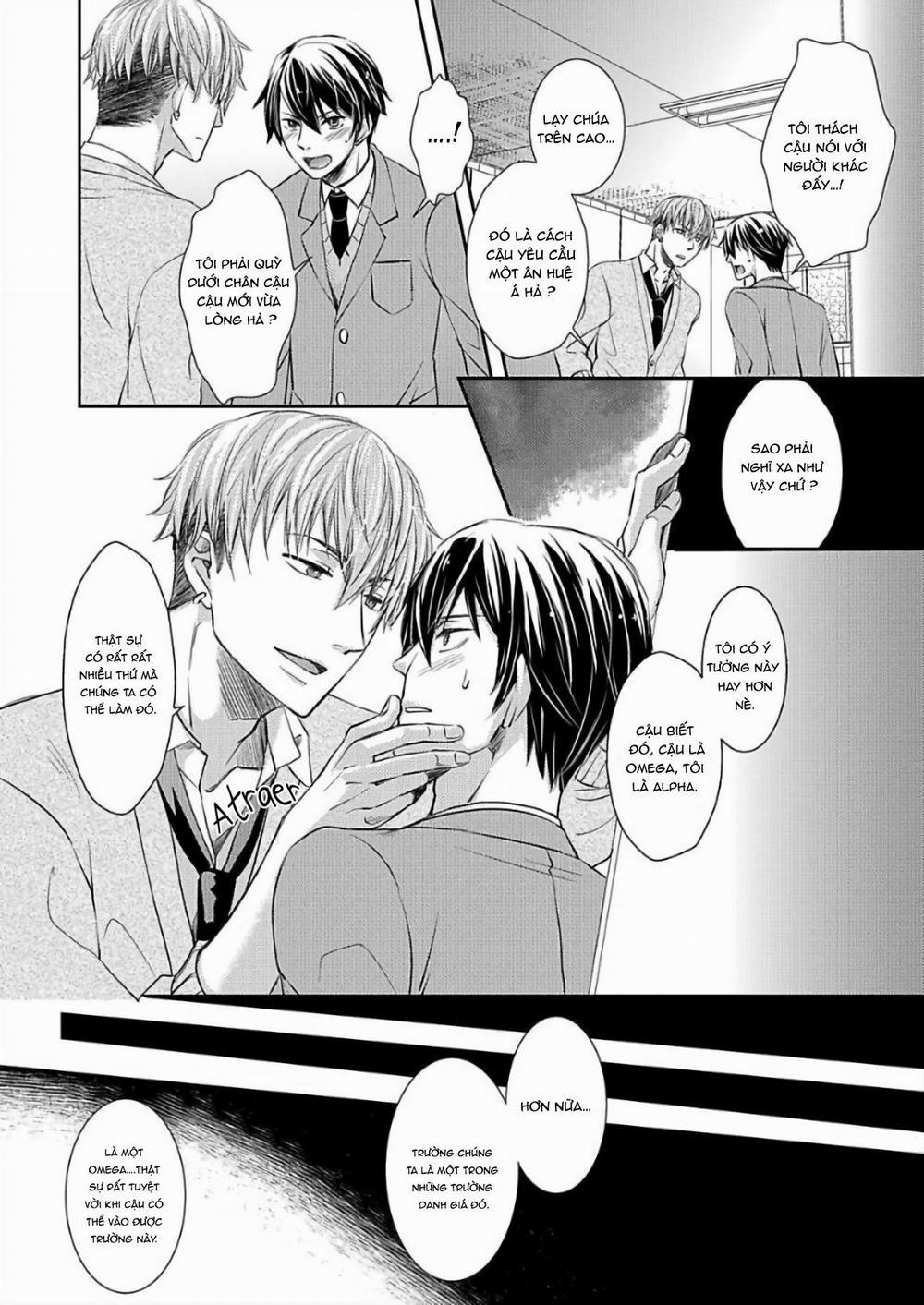 Tất Cả Vì Tôi Là Omega 1 trang 6