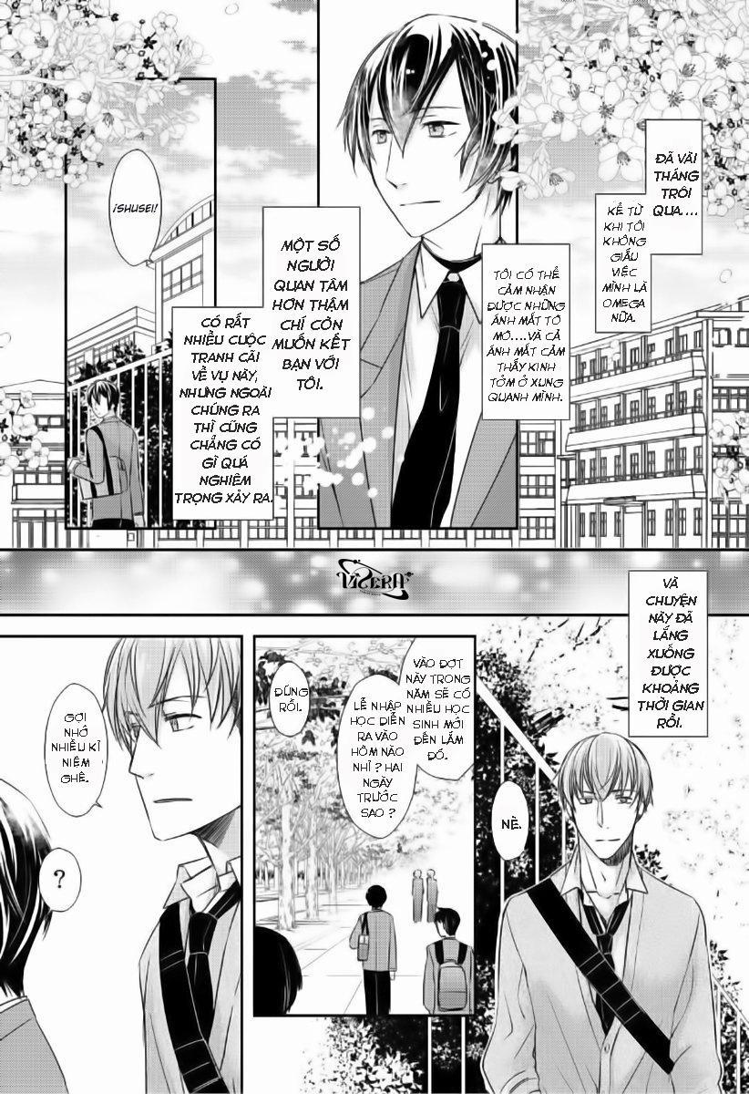 Tất Cả Vì Tôi Là Omega 5 trang 0