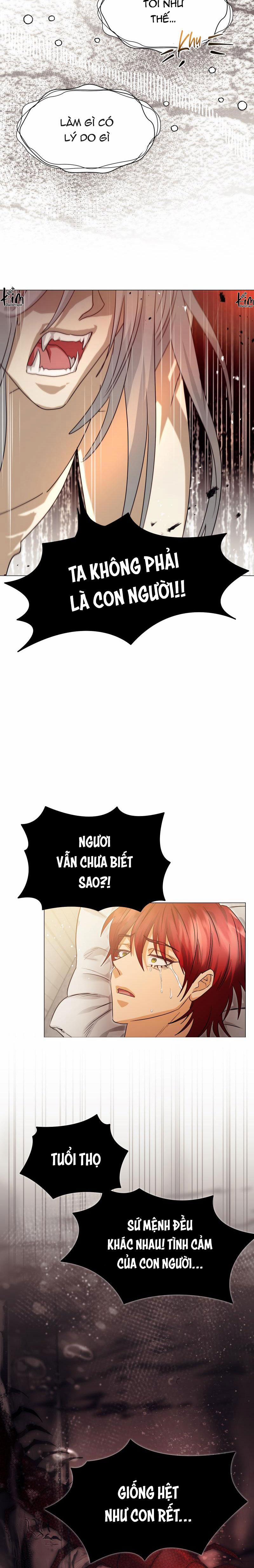 Tế Phẩm Thần Núi 19 trang 14