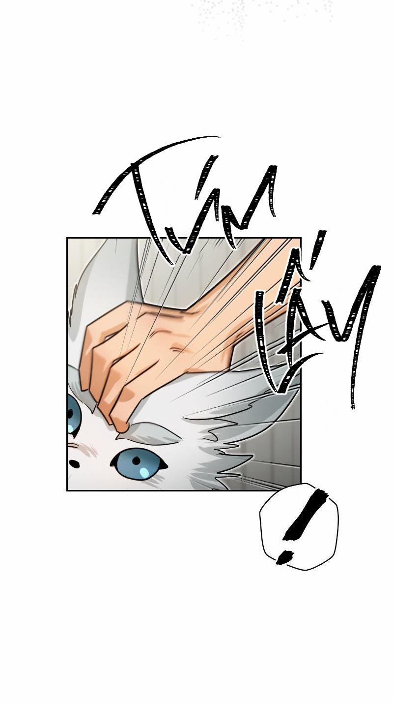 Tế Phẩm Thần Núi 4 trang 29