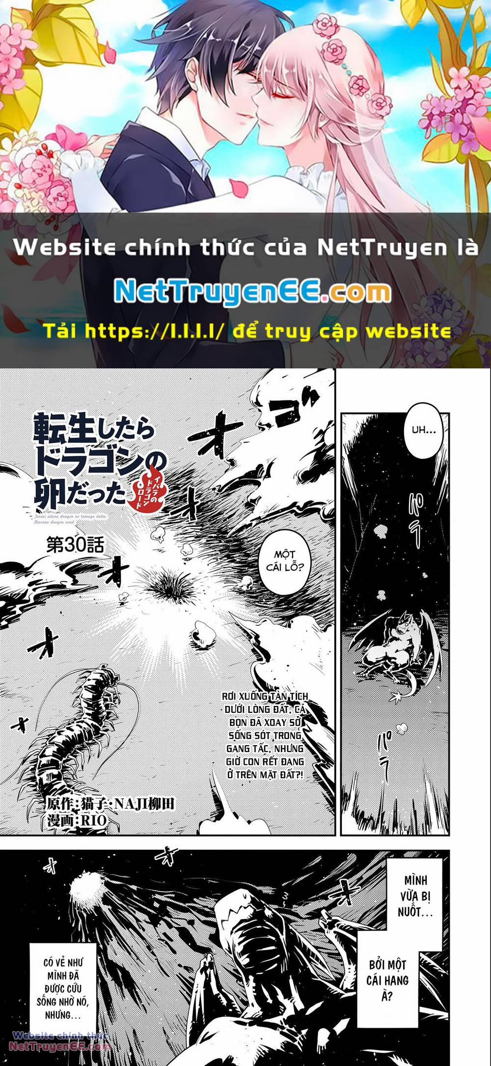 Tensei Shitara Dragon No Tamago Datta 30 trang 0