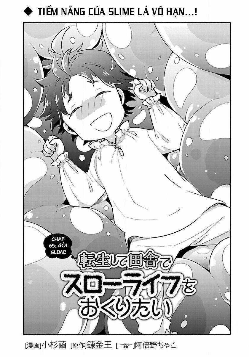 Tensei Shite Inaka De Slowlife Wo Okuritai 65 trang 2