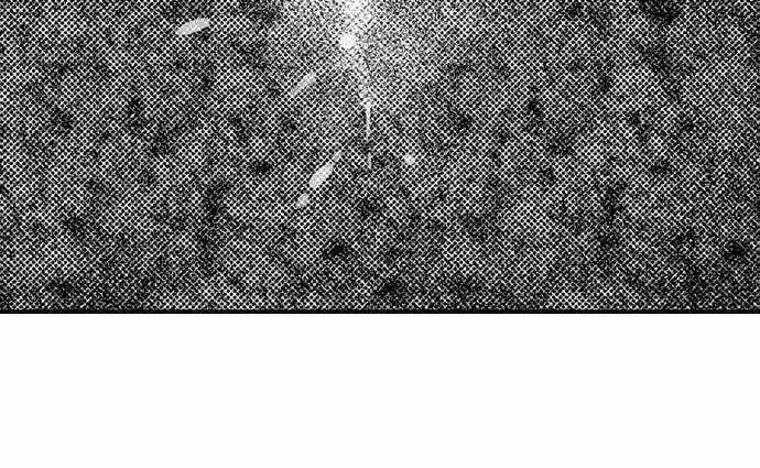 Thả Thính Chàng Gấu Nhà Tôi 36.2 trang 10