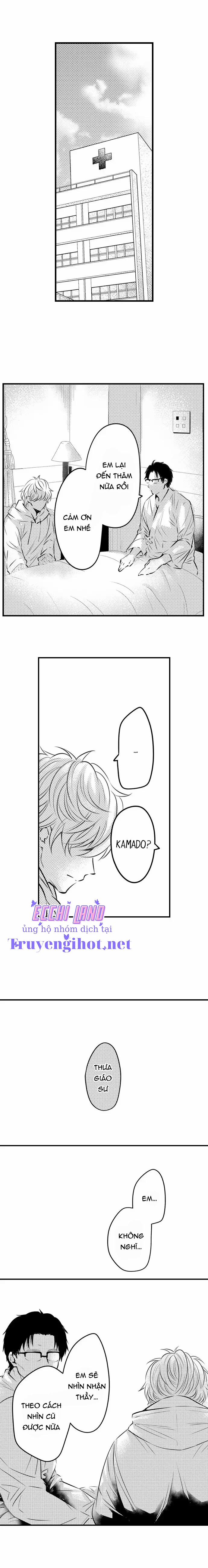 Thả Thính Chàng Gấu Nhà Tôi 70.2 trang 1