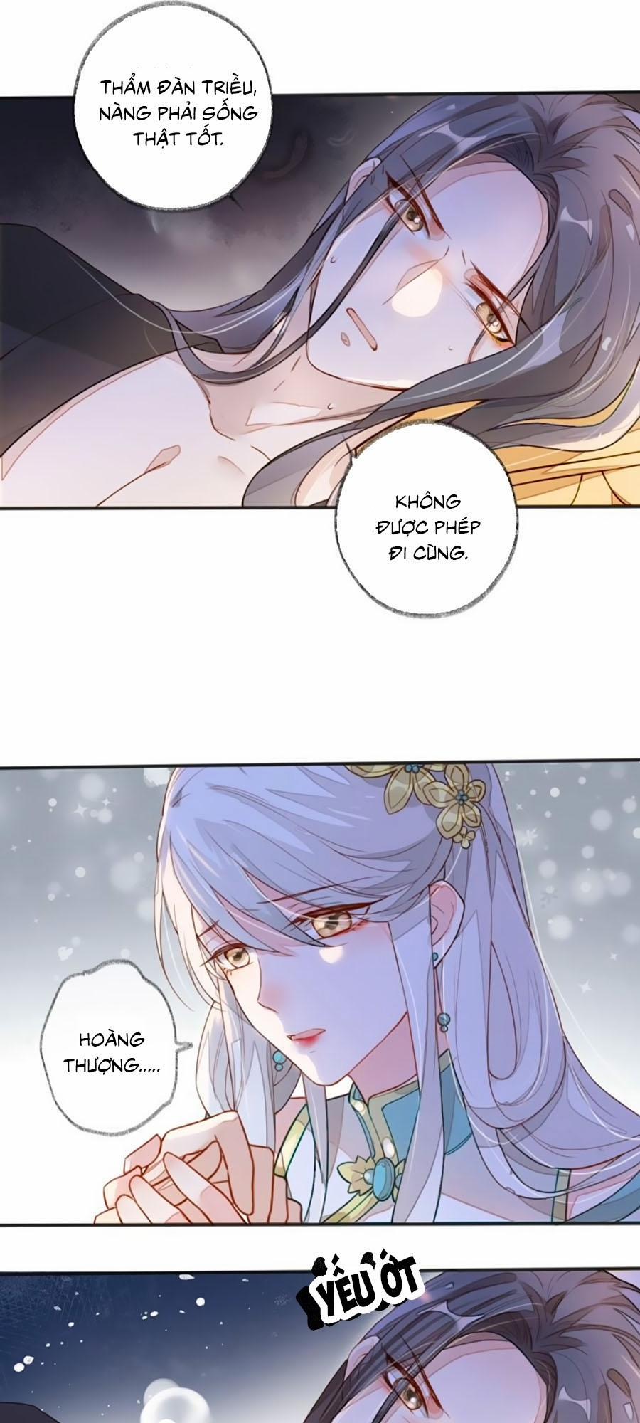 Thái Hậu Quân Hạ Thần 1 trang 12