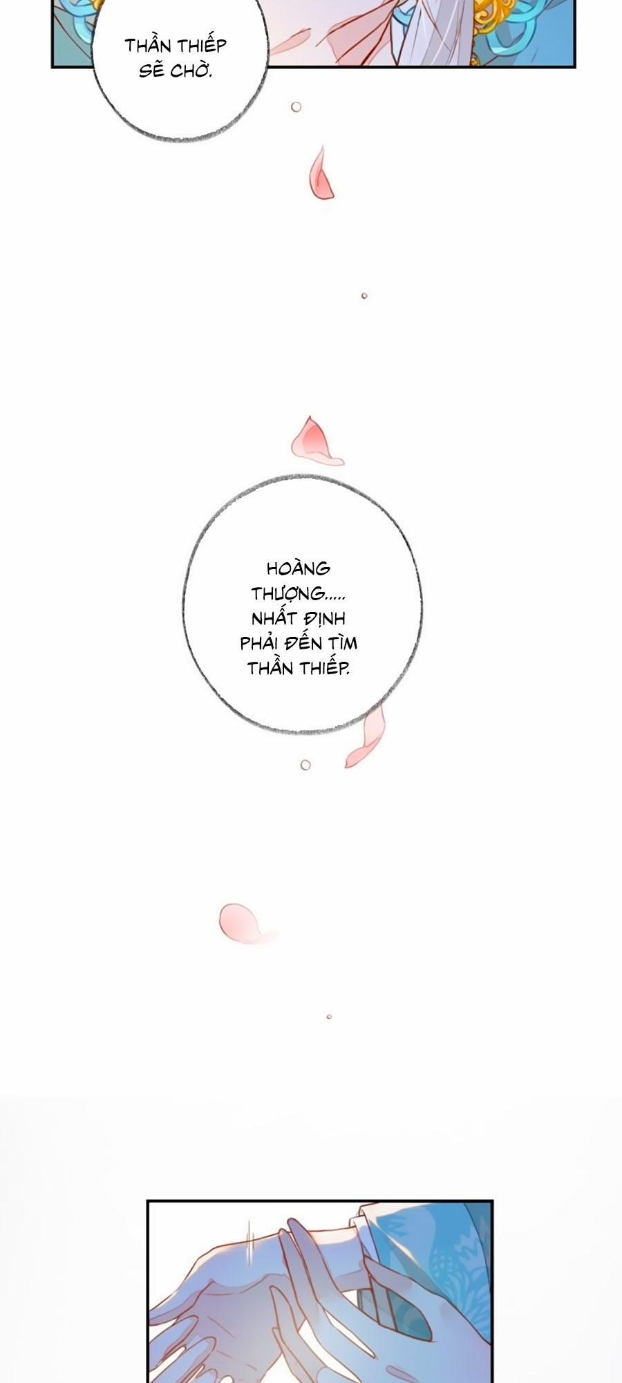 Thái Hậu Quân Hạ Thần 1 trang 16