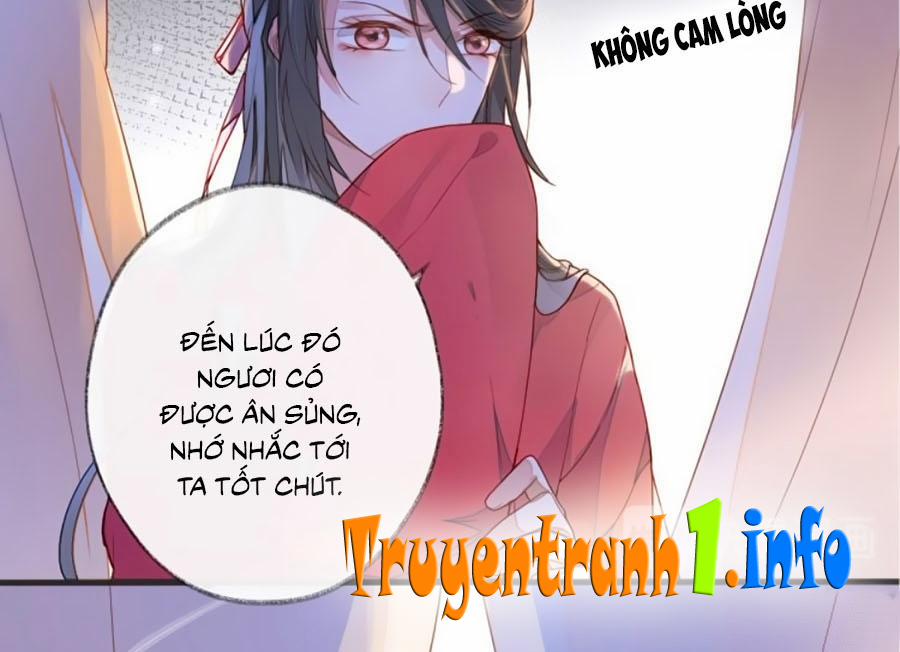 Thái Hậu Quân Hạ Thần 1 trang 39