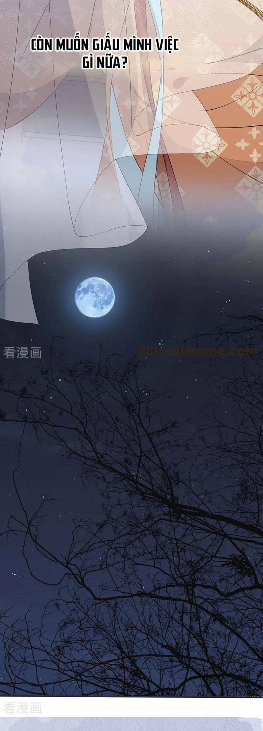 Thái Hậu Quân Hạ Thần 159 trang 17