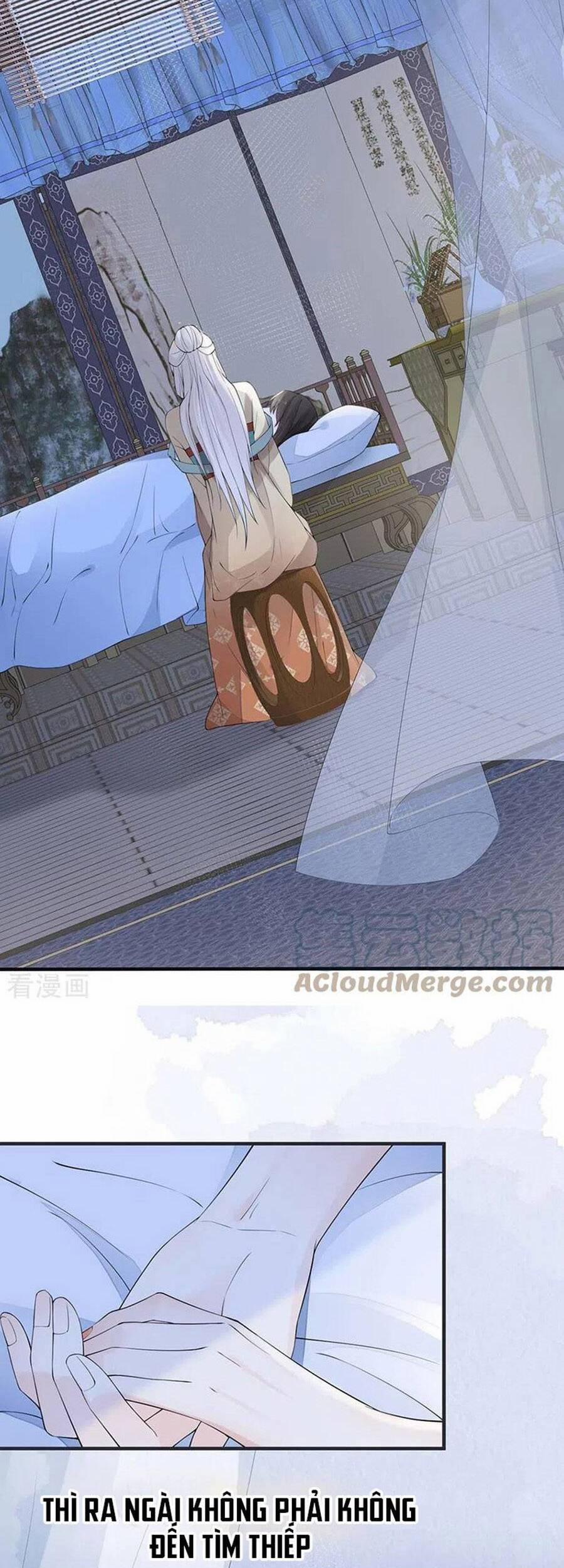 Thái Hậu Quân Hạ Thần 164 trang 7