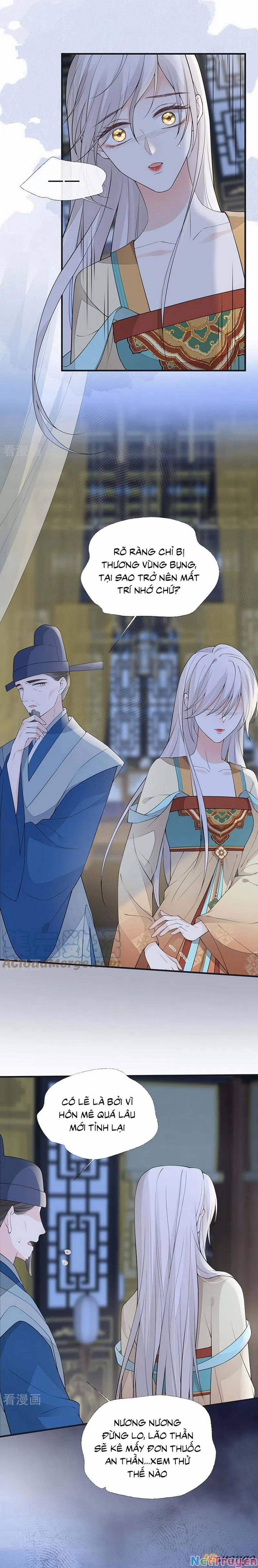 Thái Hậu Quân Hạ Thần 166 trang 0