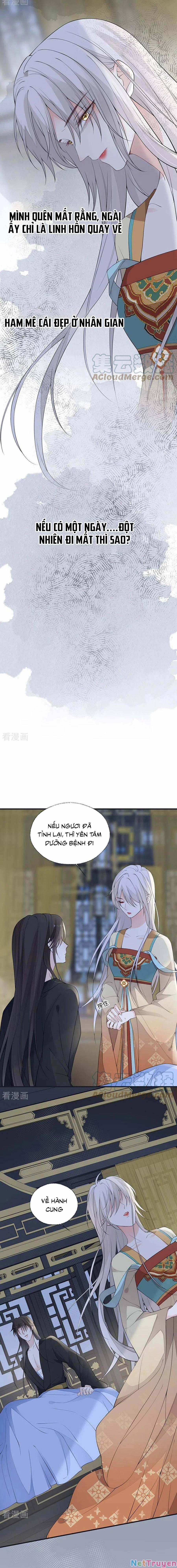 Thái Hậu Quân Hạ Thần 166 trang 2