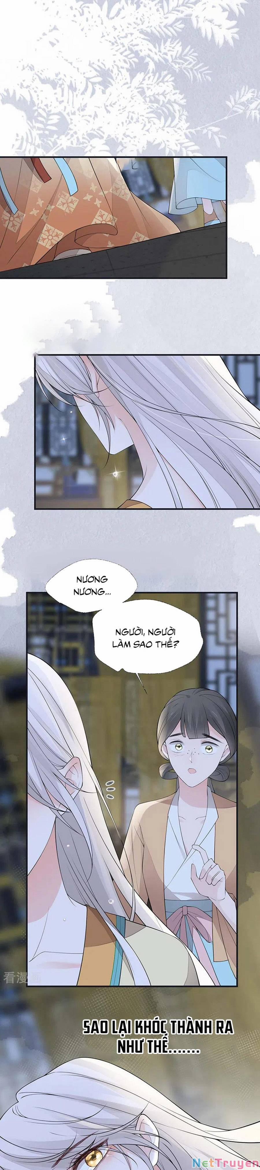 Thái Hậu Quân Hạ Thần 166 trang 4