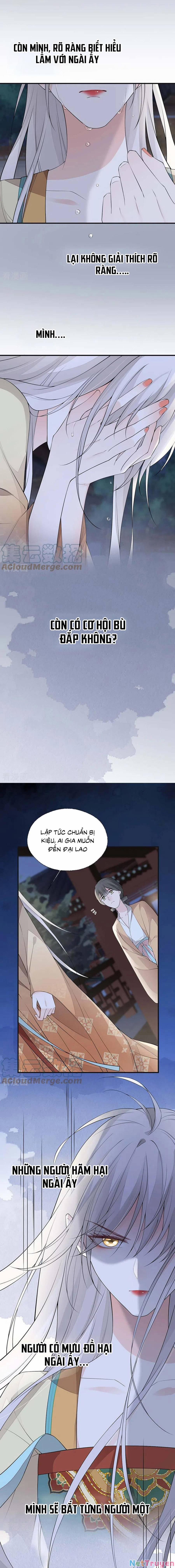 Thái Hậu Quân Hạ Thần 166 trang 7