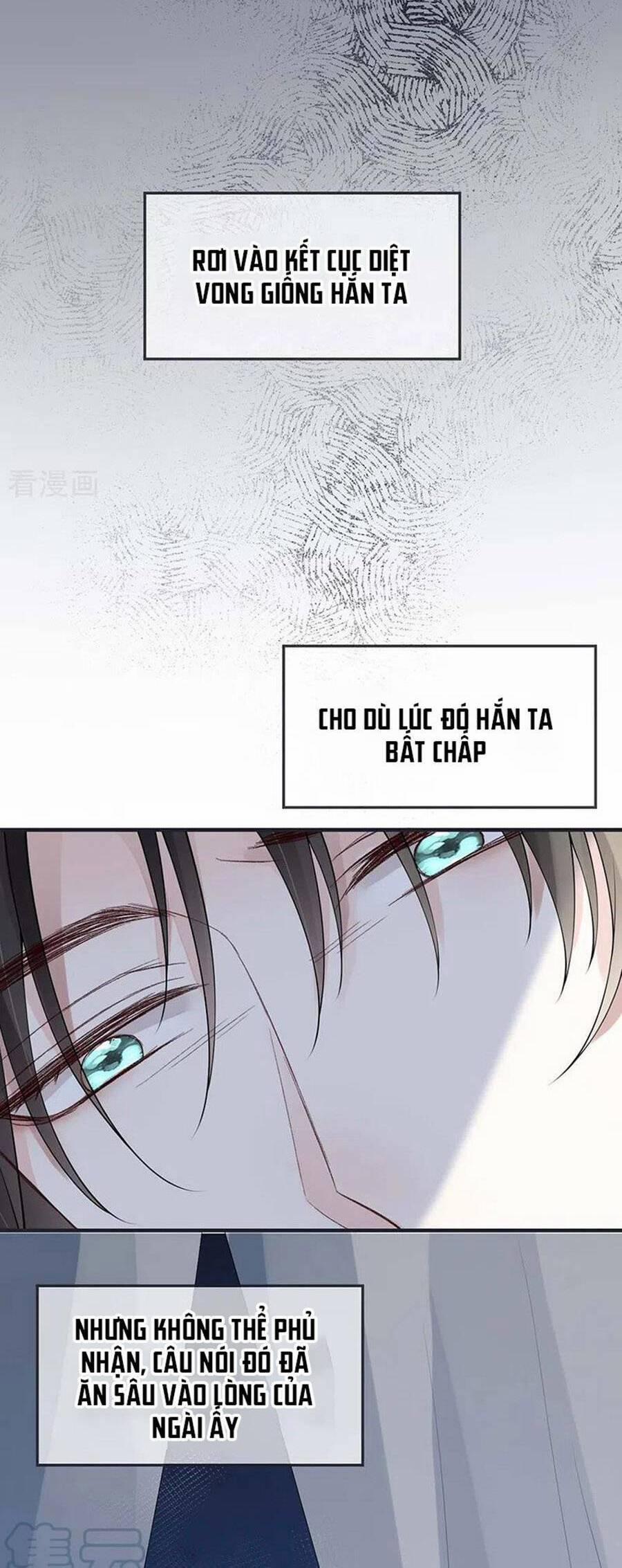 Thái Hậu Quân Hạ Thần 168 trang 12