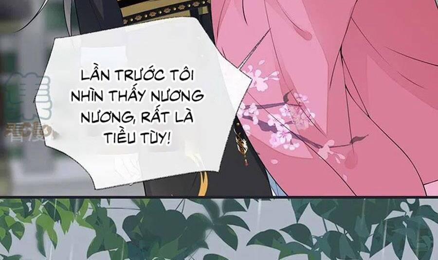 Thái Hậu Quân Hạ Thần 168 trang 31