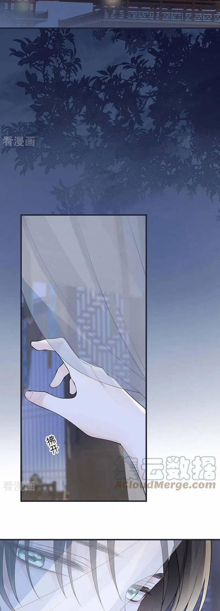 Thái Hậu Quân Hạ Thần 169 trang 15