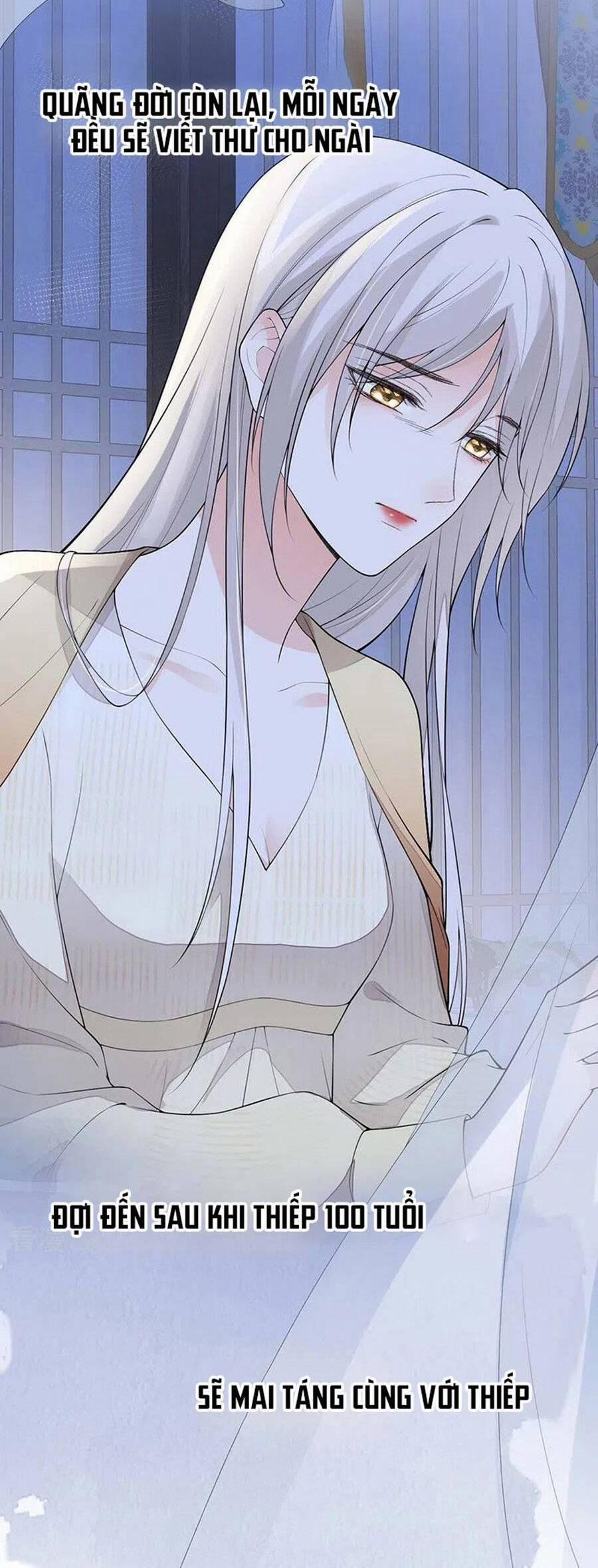 Thái Hậu Quân Hạ Thần 170 trang 14