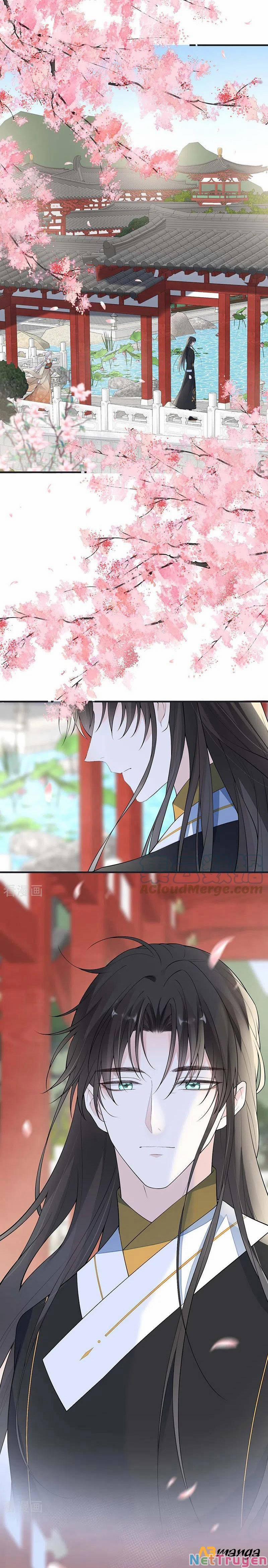 Thái Hậu Quân Hạ Thần 171 trang 0