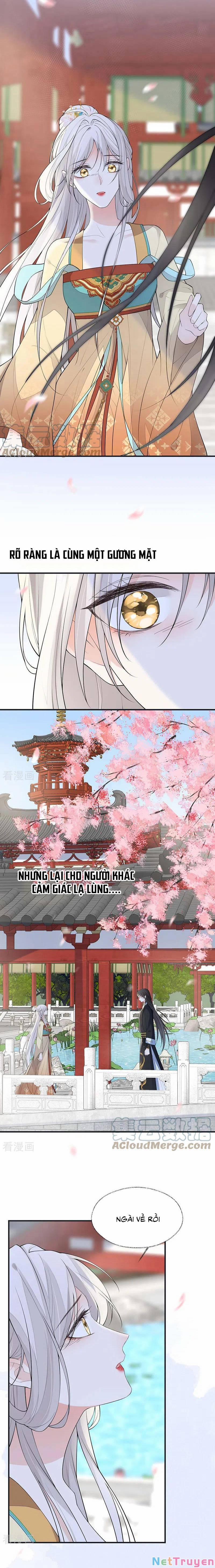 Thái Hậu Quân Hạ Thần 171 trang 1