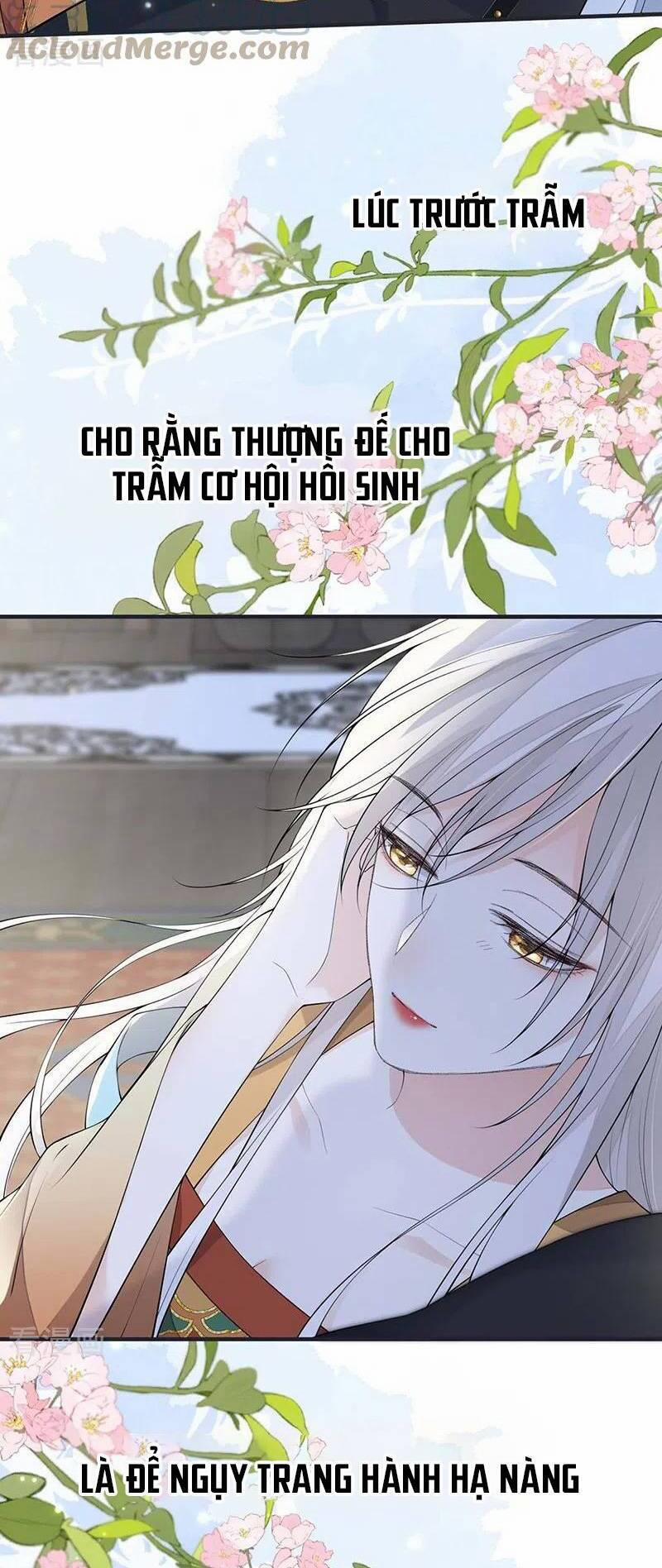 Thái Hậu Quân Hạ Thần 172 trang 19