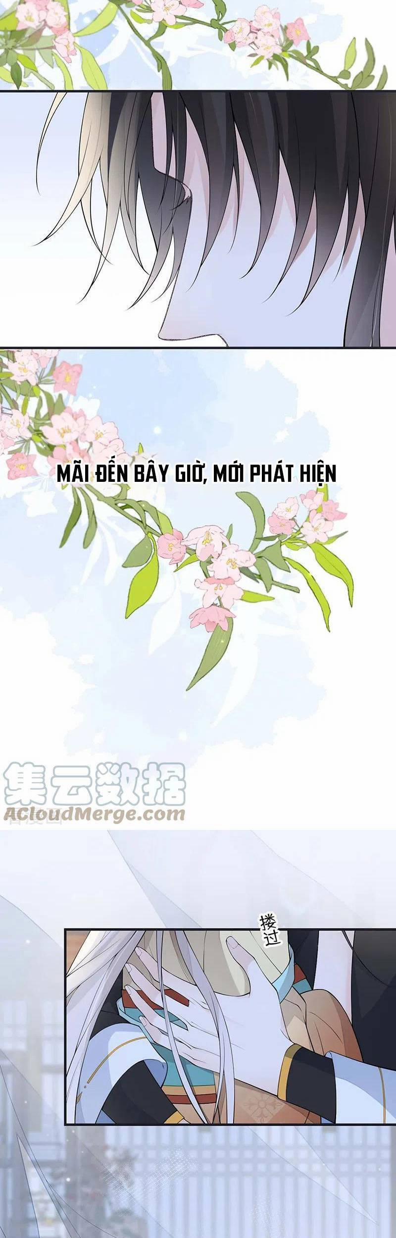 Thái Hậu Quân Hạ Thần 172 trang 20